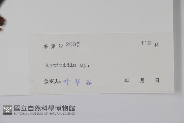 登錄號:S042462藏品圖，第2張