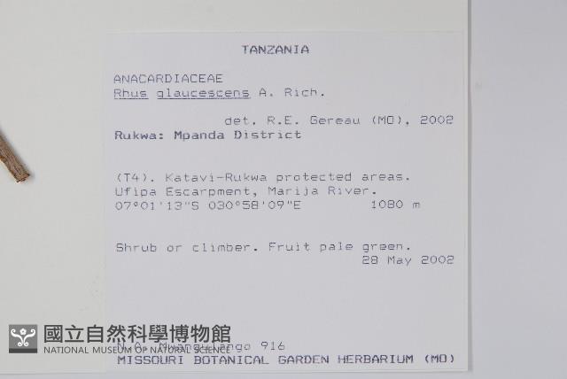 登錄號:S096162藏品圖，第2張