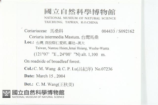 臺灣馬桑藏品圖，第2張