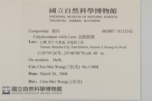 金腰箭舅藏品圖，第2張