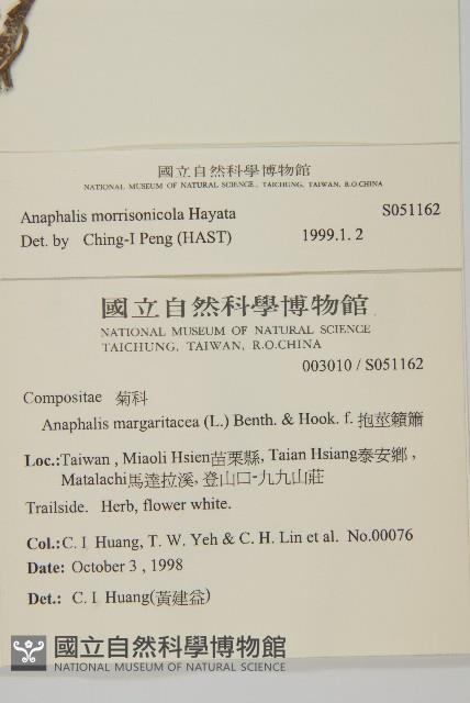 玉山抱莖籟簫藏品圖，第2張