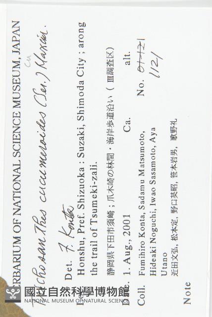 王瓜藏品圖，第2張