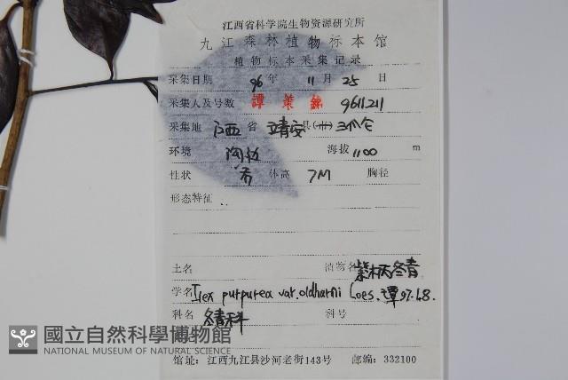 冬青藏品圖，第2張