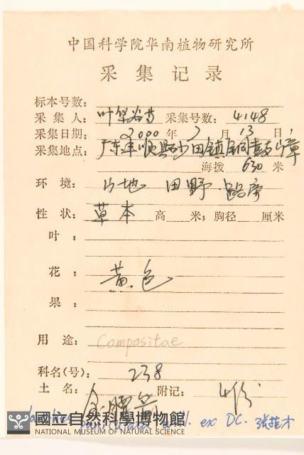 金鈕釦藏品圖，第2張