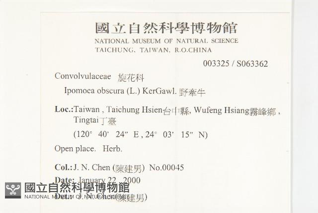 野牽牛藏品圖，第2張