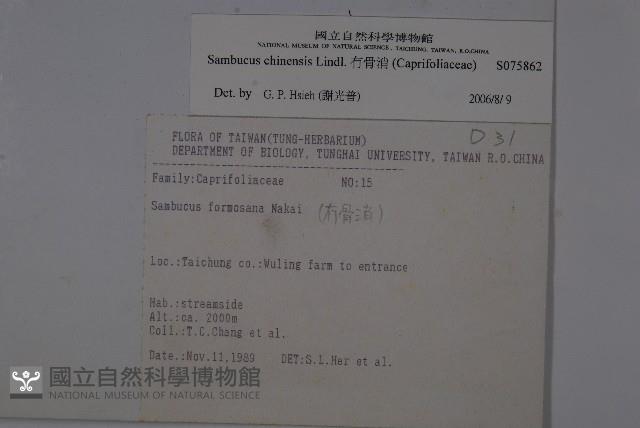 冇骨消藏品圖，第2張