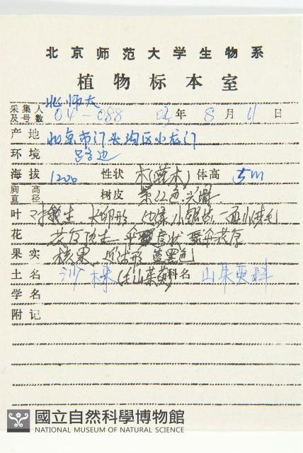 沙棶藏品圖，第2張