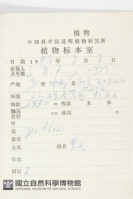 寬萼景天藏品圖，第2張