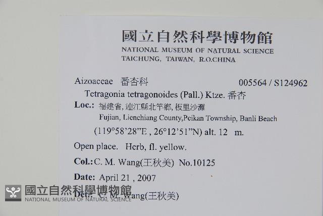 番杏藏品圖，第2張