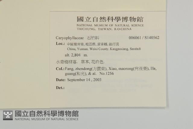 登錄號:S140562藏品圖，第2張