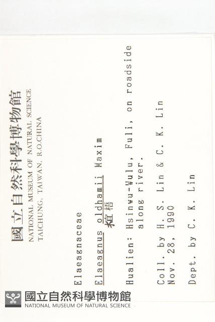 宜梧藏品圖，第2張