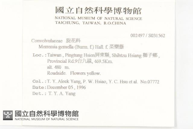 菜欒藤藏品圖，第2張