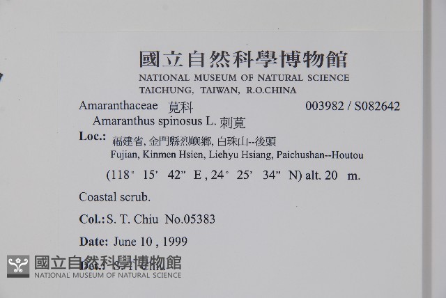 刺莧藏品圖，第2張