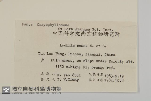 剪秋羅、剪秋紗、漢宮秋藏品圖，第2張