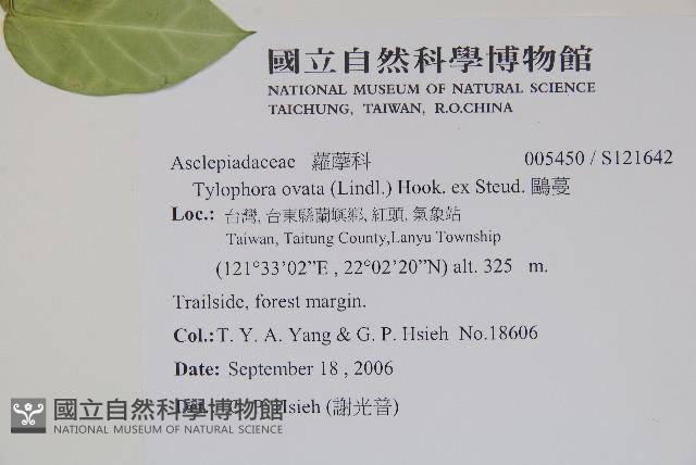 鷗蔓藏品圖，第2張