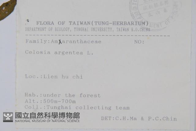 青葙藏品圖，第2張