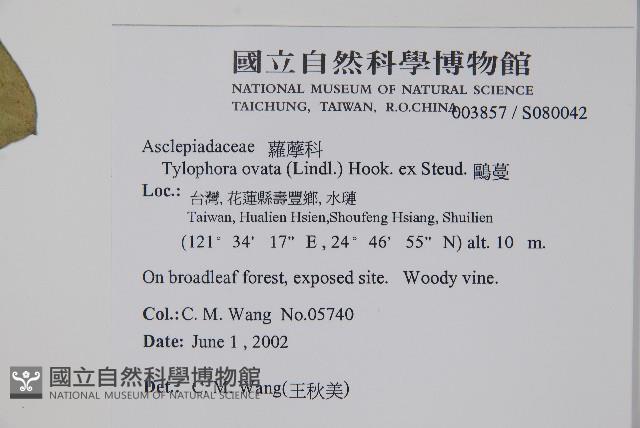 鷗蔓藏品圖，第2張