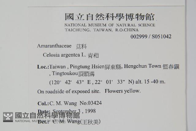 青葙藏品圖，第2張