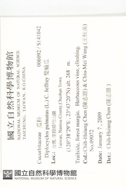 雙輪瓜藏品圖，第2張