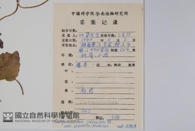 金錢豹藏品圖，第2張