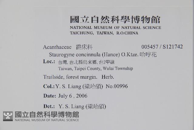 哈哼花藏品圖，第2張