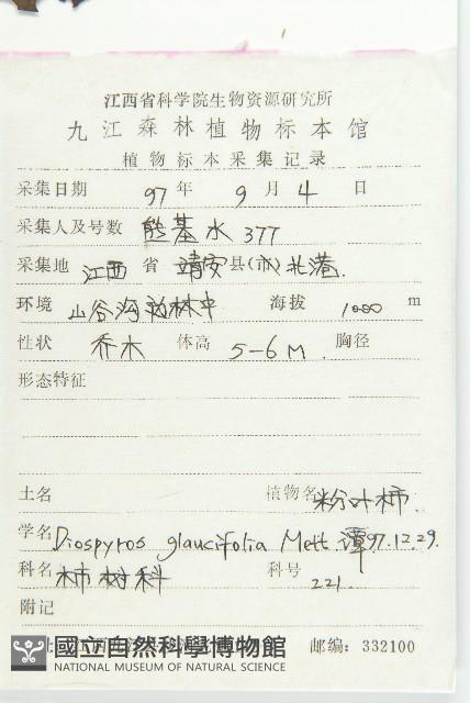 浙江柿藏品圖，第2張