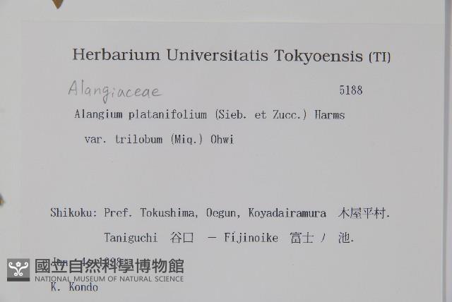 八角楓藏品圖，第2張