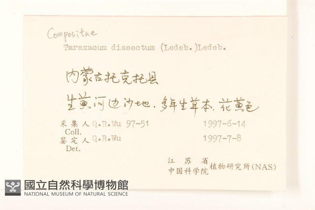 多裂蒲公英藏品圖，第2張