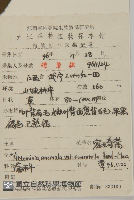密毛奇蒿藏品圖，第2張