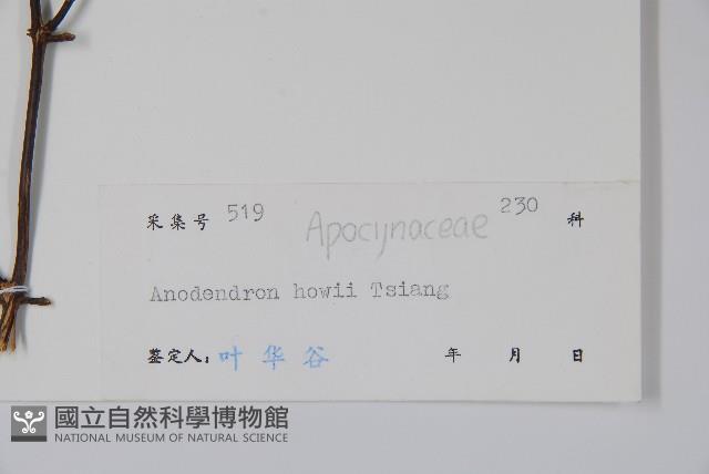 保亭鱔藤藏品圖，第2張