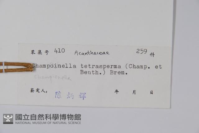 黃瓊草藏品圖，第2張