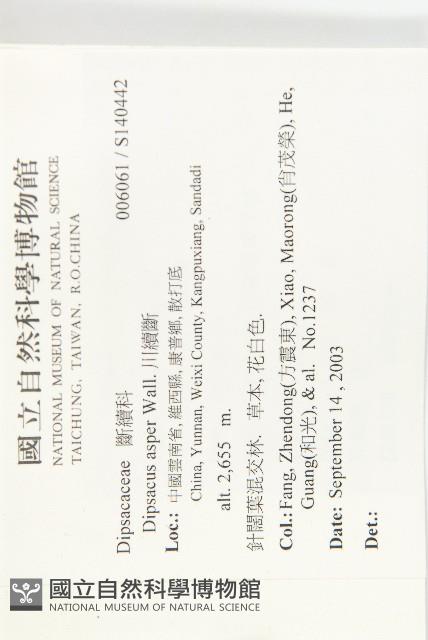 川續斷藏品圖，第2張