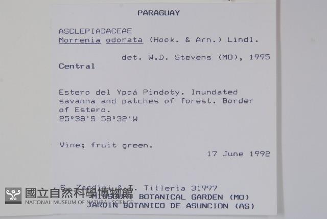 登錄號:S051442藏品圖，第2張