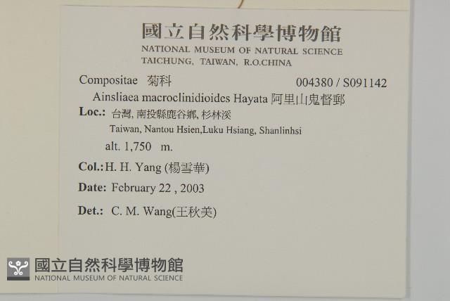 阿里山鬼督郵藏品圖，第2張