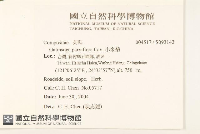 小米菊藏品圖，第2張