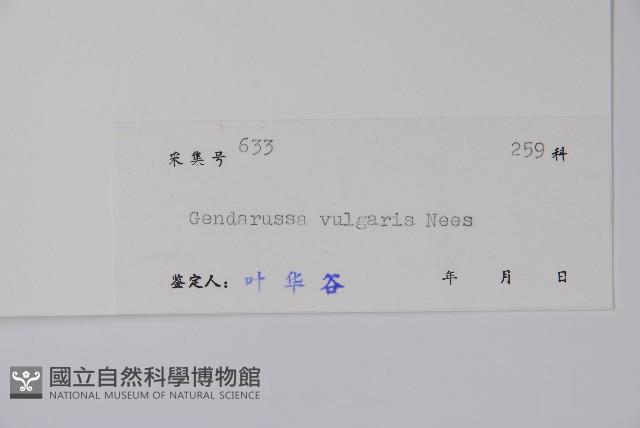 小駁骨丹、尖尾鳳藏品圖，第2張