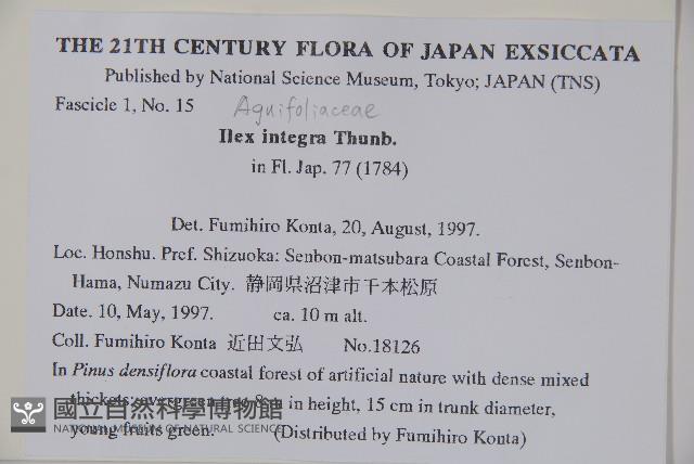 全緣葉冬青藏品圖，第2張