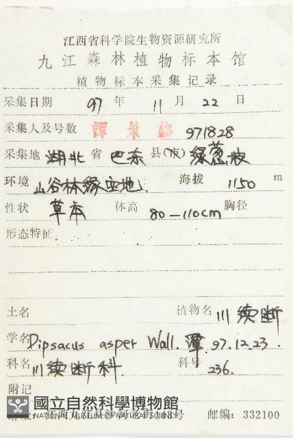 川續斷藏品圖，第2張