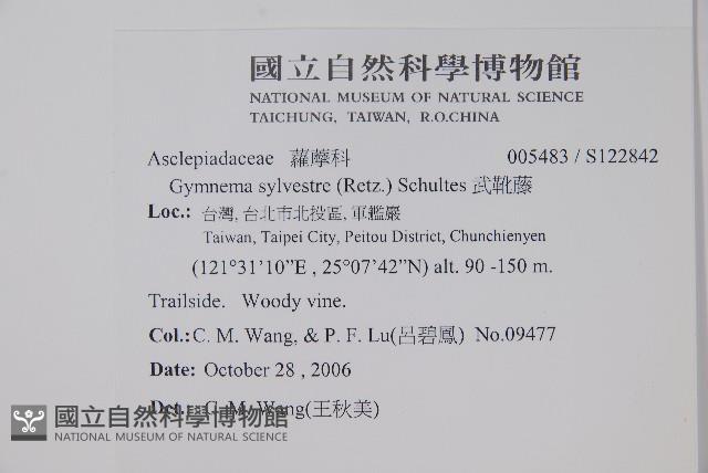 武靴藤藏品圖，第2張