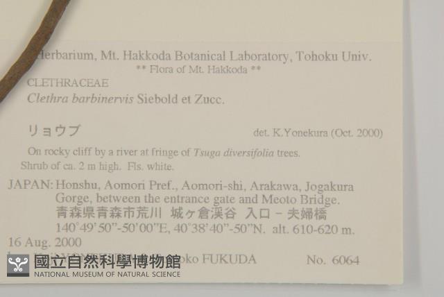 華東山柳藏品圖，第2張