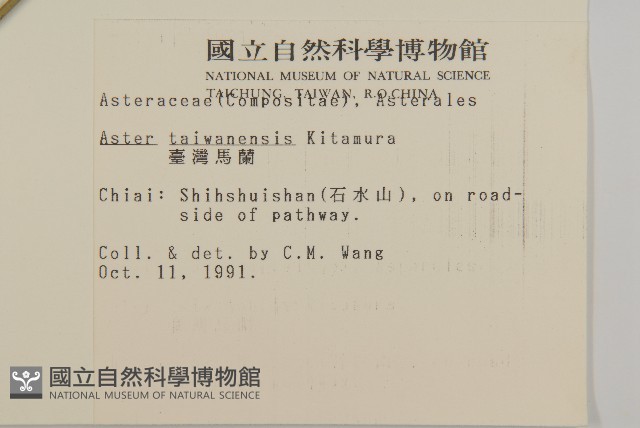 臺灣馬蘭藏品圖，第2張