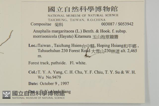 玉山抱莖籟簫藏品圖，第2張