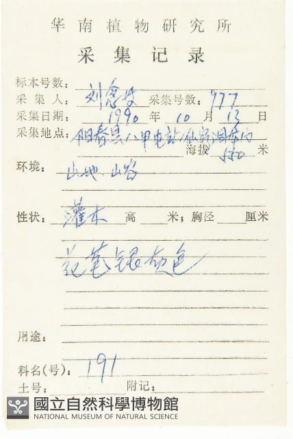 角花胡頹子藏品圖，第2張