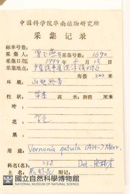 嶺南野菊藏品圖，第2張
