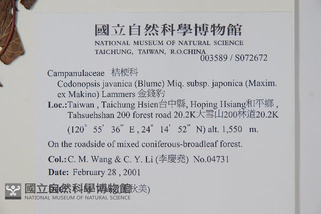 金錢豹藏品圖，第2張