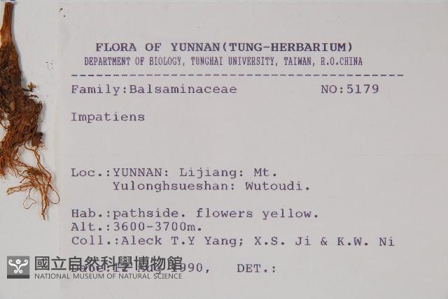 登錄號:S031672藏品圖，第2張