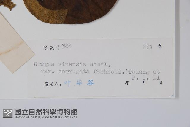 苦繩、貫筋藤藏品圖，第2張