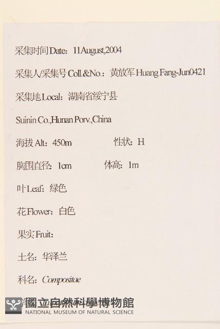 華澤蘭藏品圖，第2張