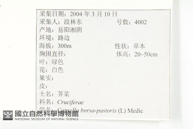 薺藏品圖，第2張