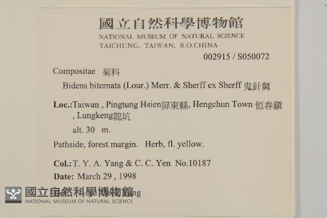 鬼針舅藏品圖，第2張